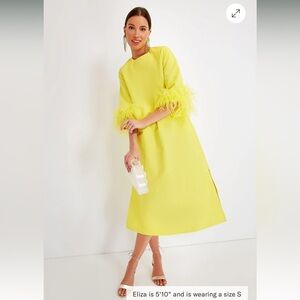 Tuckernuck | NEW Citron Feather Jamie Formal Midi Dress Size S